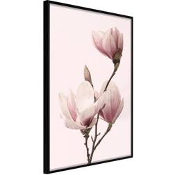 Arkiio Affisch Seasonal Flowers [Poster] 20x30 Poster